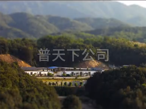 春晚公益廣告《中國字中國年》_高清